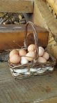 将100个鸡蛋分装在7个篮子里，要求每个篮子里的鸡蛋数量都要有数字6，怎样装？