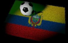 拔河比赛，文明取胜「2002年世界杯厄瓜多尔足球队员」