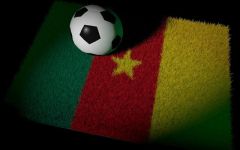 海妖变行人「2002年世界杯喀麦隆足球队员」