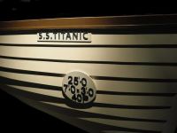 泰坦尼克号遇难时，只将Rose救上木板「四字保险名词，卷」