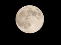 玉阶空对月儿圆「打一成语」