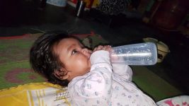 初生婴儿喝奶水（打一成语）