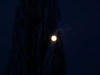 夜空何以伴明月「谜友」