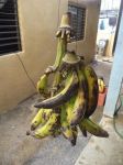 关于香蕉的谜语集锦
