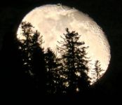 窗前月露出松际「月亮别称」