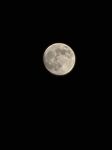 月圆月缺彩云追「质量词语代号」