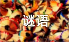 第三季中国谜语大会谜题及答案