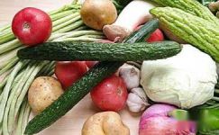 关于蔬菜的谜语及谜底大全大纲