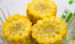 关于玉米的经典谜语