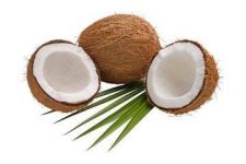 关于椰子谜语