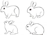 关于兔子的谜语及谜底